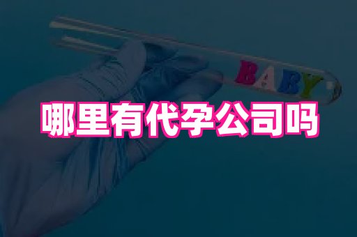 武汉助孕网 2