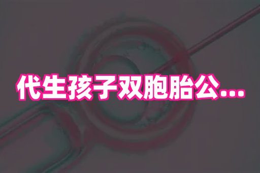 武汉助孕网 4